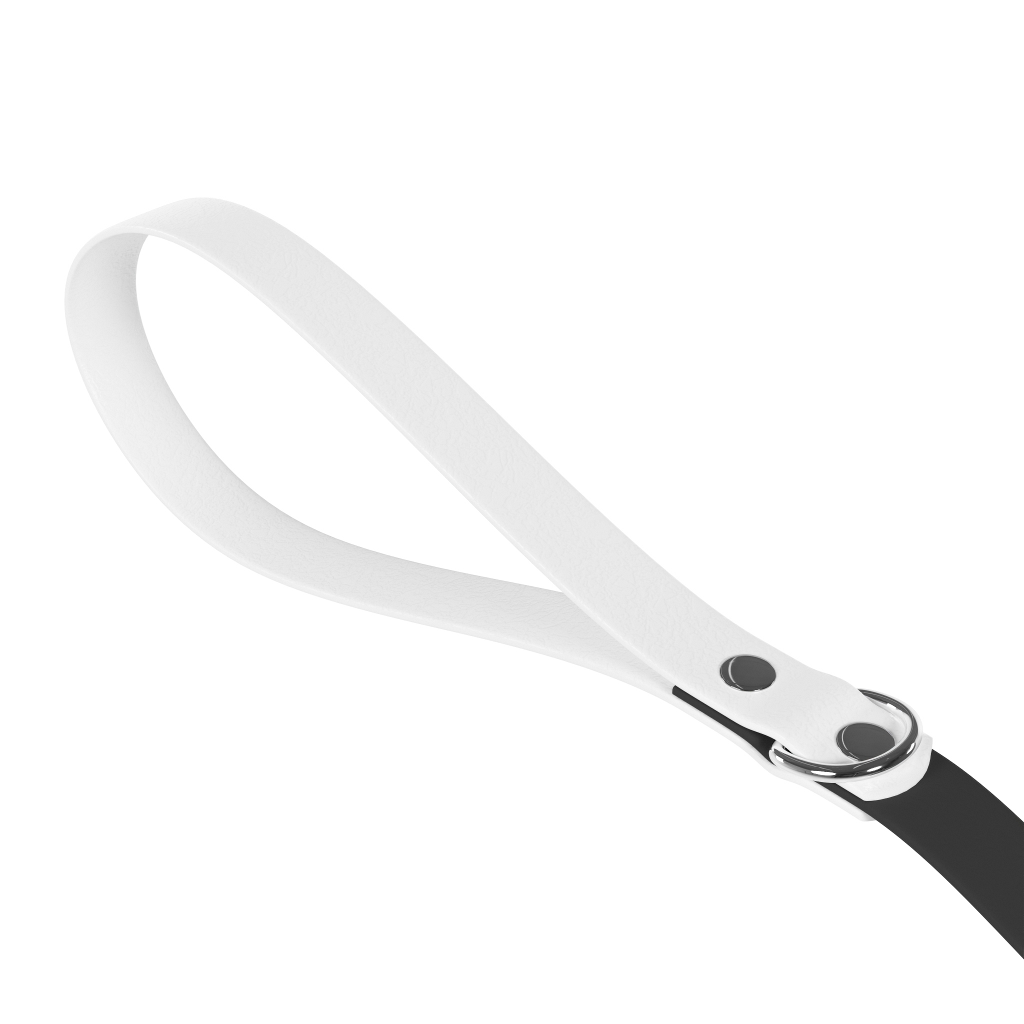 Dog Leash for Our Besties