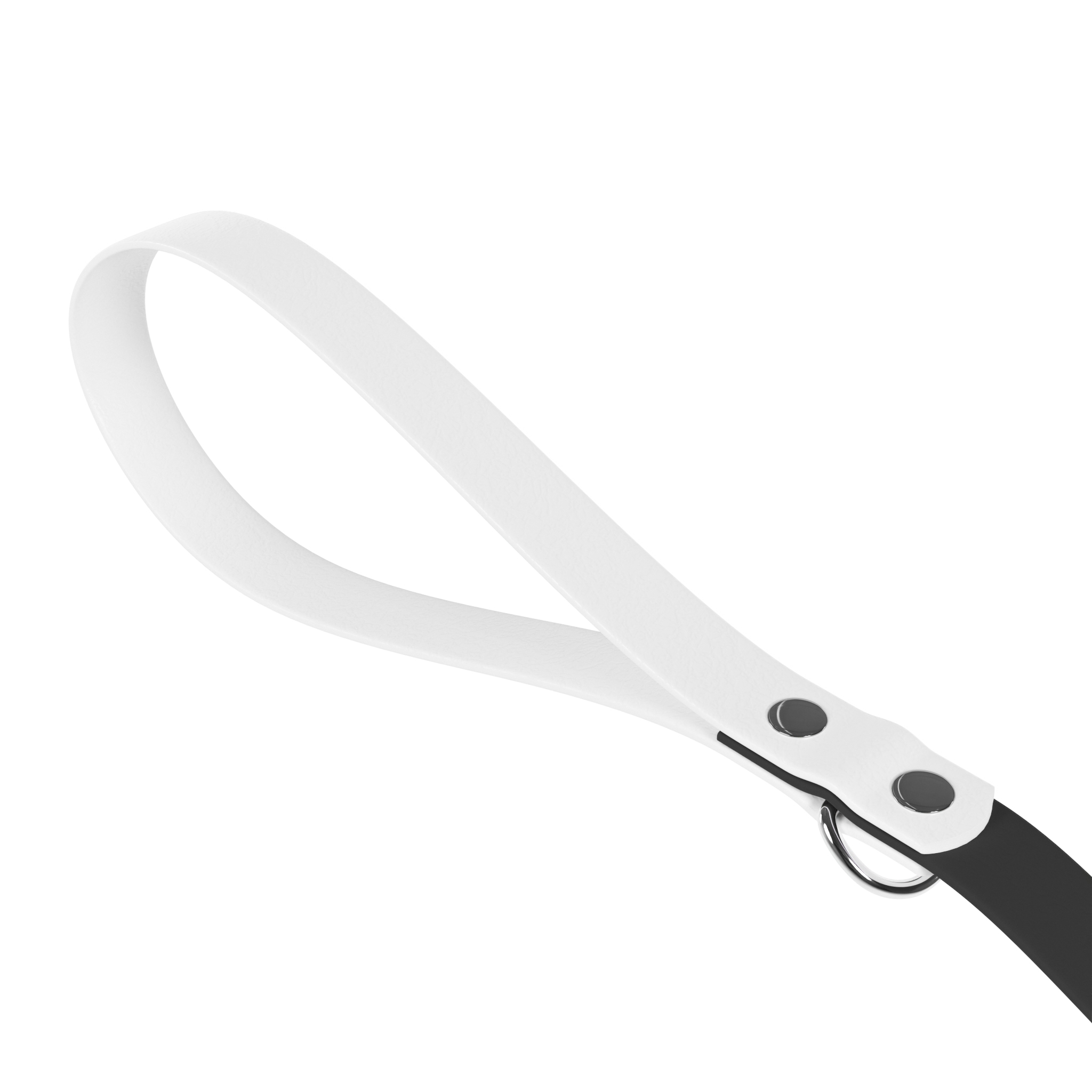 Dog Leash for Our Besties
